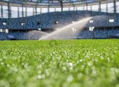 台北代表队,月阵容揭晓,安以恩等中,爱游戏app,爱游戏官网,爱游戏体育官网,爱游戏体育app