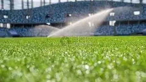 台北代表队3月阵容揭晓：安以恩等中超、中甲球星悉数入选