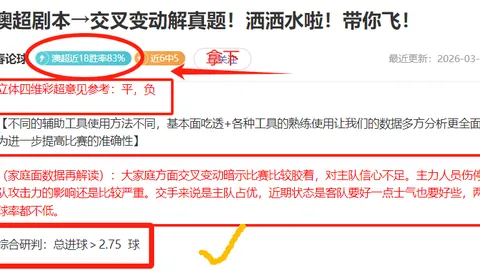 队报分析：小埃梅里连续39场首发，比作达喀尔赛车传奇