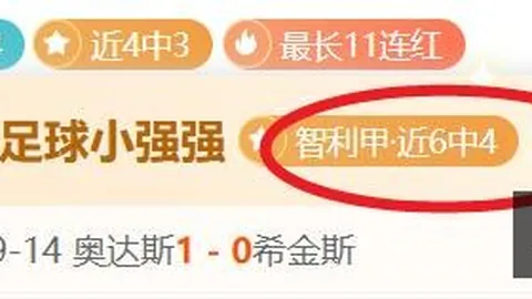 电竞战队新加盟，携手品牌征战新赛季